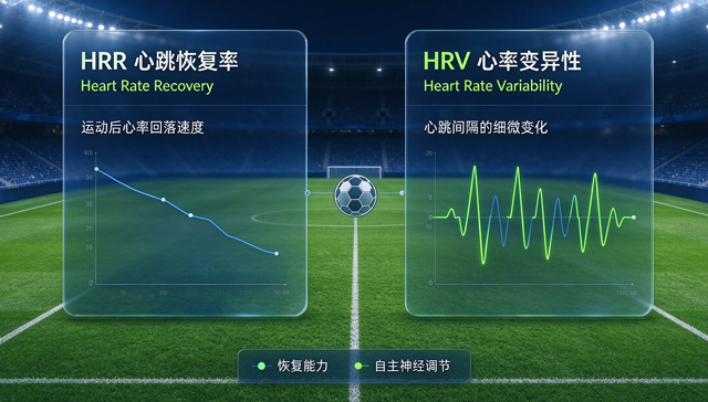 HRR 与 HRV：一个看恢复速度，一个看状态波动