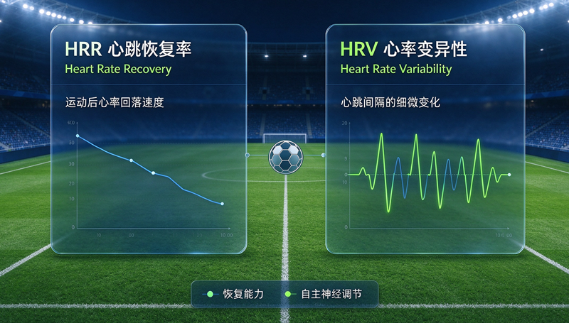 HRR 与 HRV 的时间尺度对比示意
